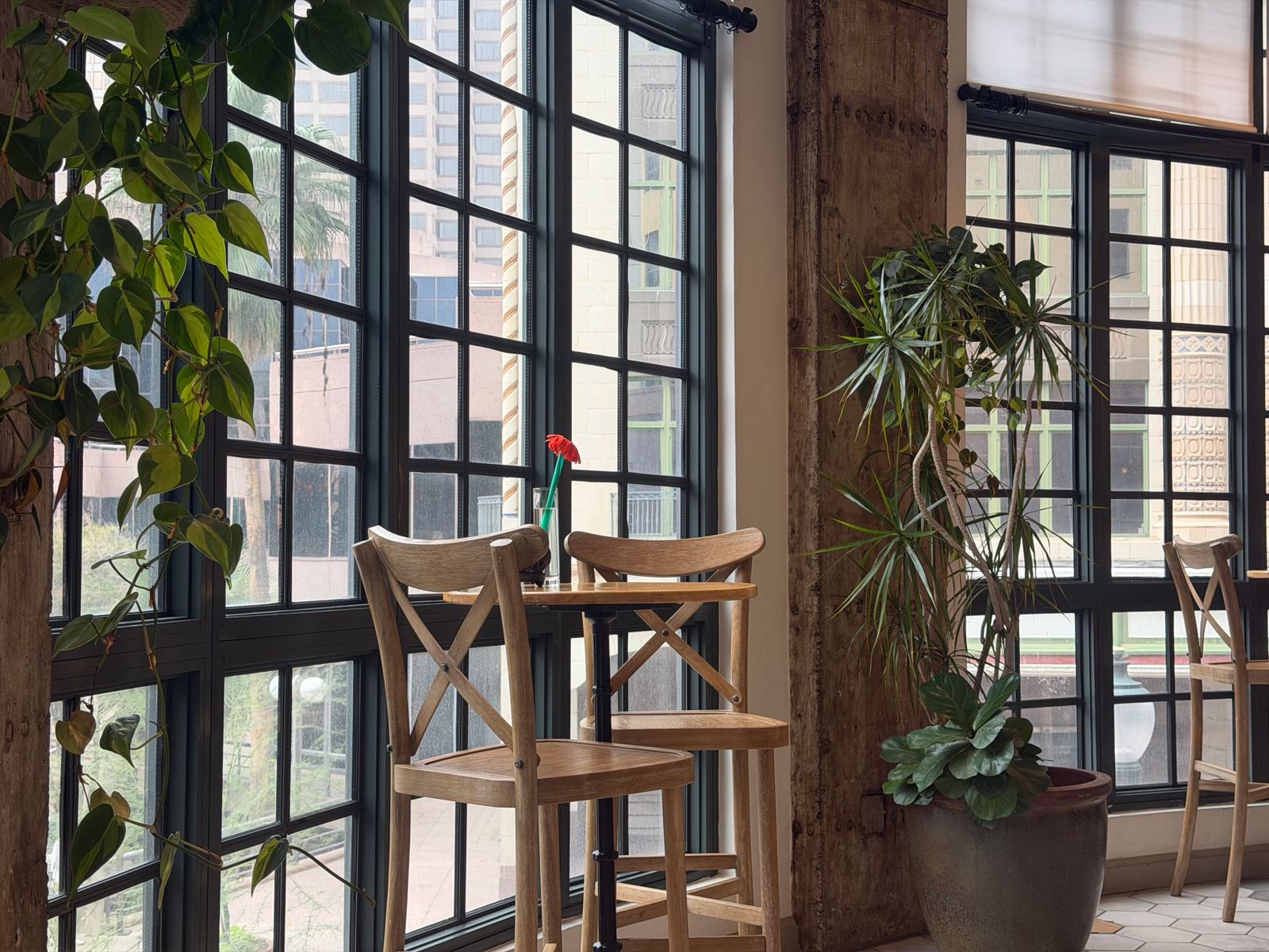 Inside Mabel's Cafe — timber tables, greenery and morning light